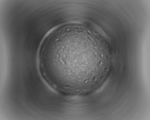 X0000114121028200910131359