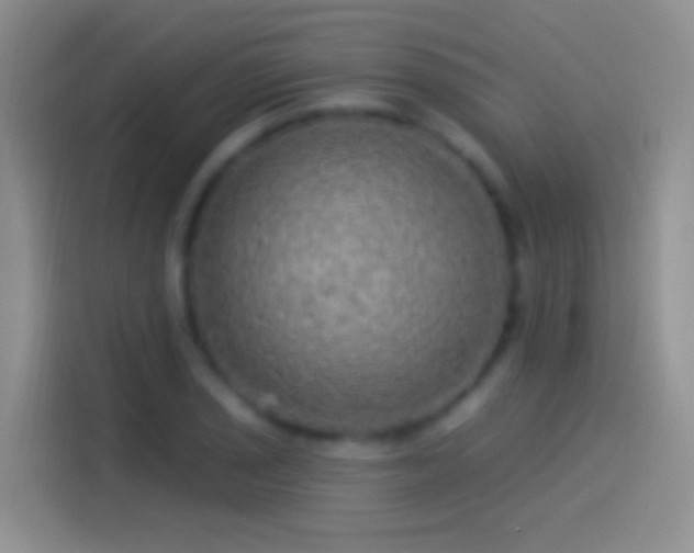 X0000114121029200910131359