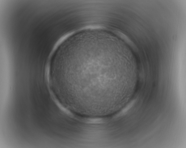 X0000114121030200910131359