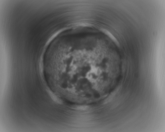 X0000114121031200910131359