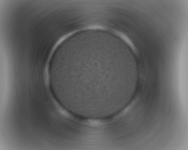 X0000114121032200910131359