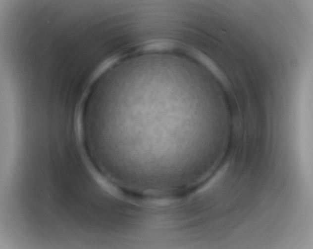 X0000114121034200910131359