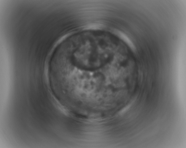 X0000114121035200910131359