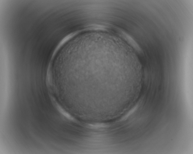 X0000114121036200910131359