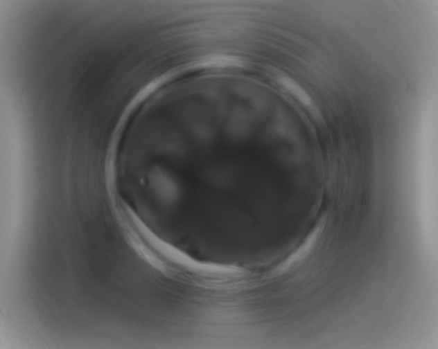 X0000114121037200910131359