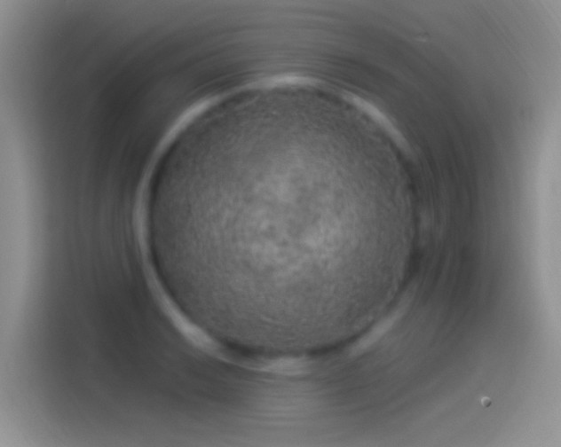 X0000114121038200910131359