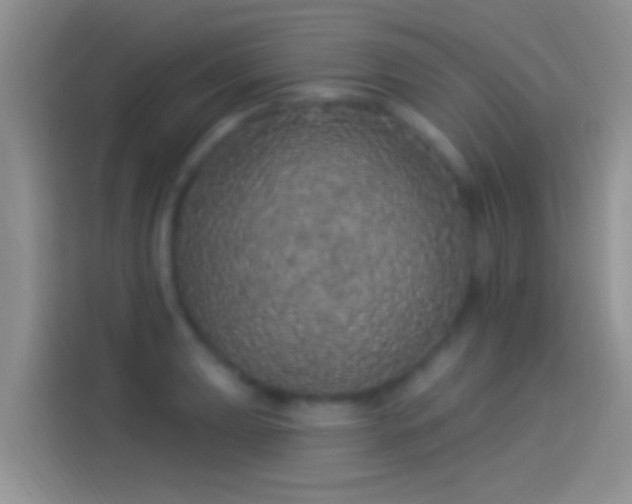 X0000114121039200910131359