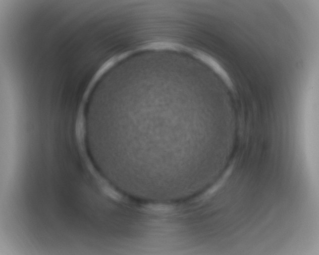 X0000114121040200910131359