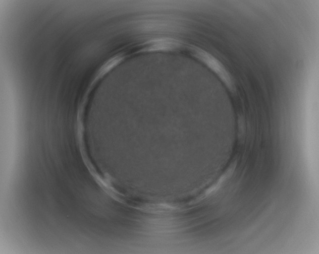 X0000114121042200910131359