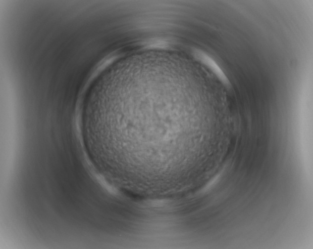 X0000114121043200910131359