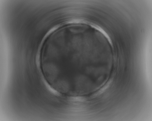 X0000114121045200910131359