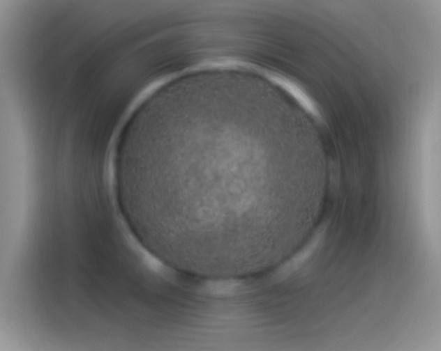 X0000114121046200910131359