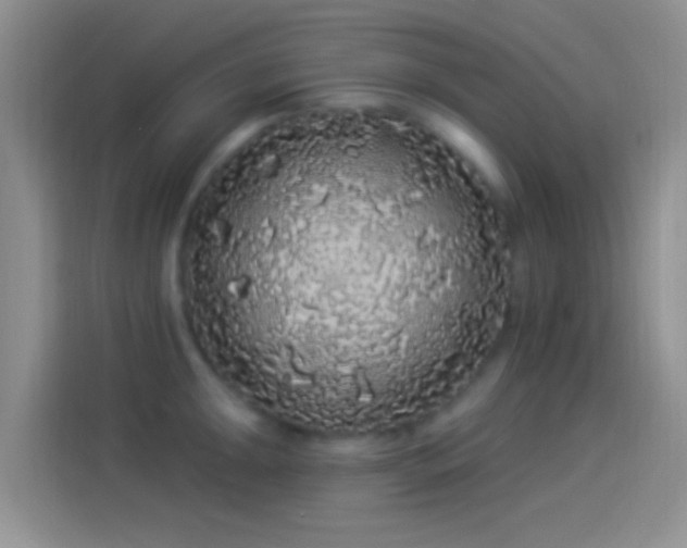 X0000114121047200910131359