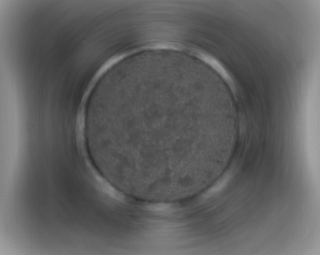 X0000114121048200910131359