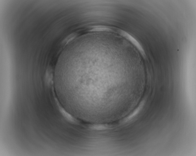 X0000114121049200910131359