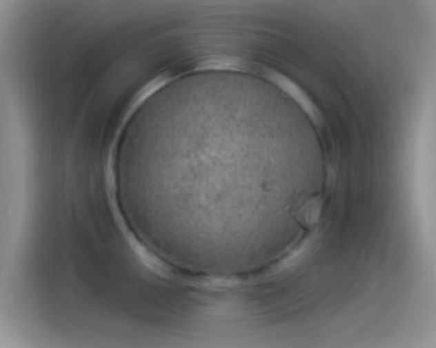 X0000114121050200910131359