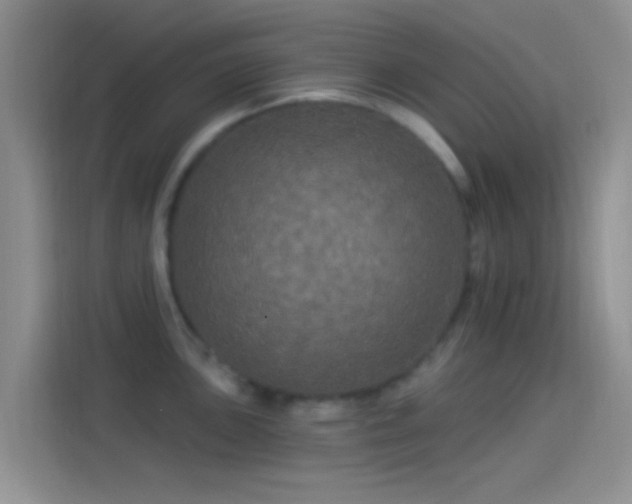 X0000114121051200910131359