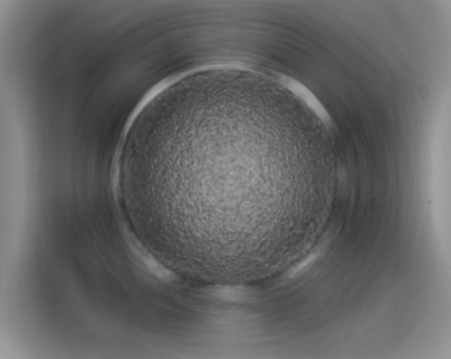 X0000114121052200910131359