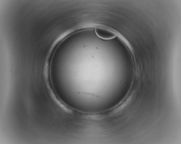 X0000114121053200910131359