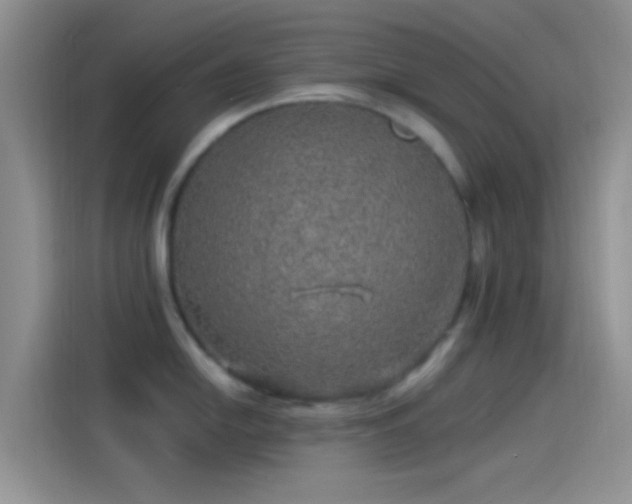 X0000114121054200910131359