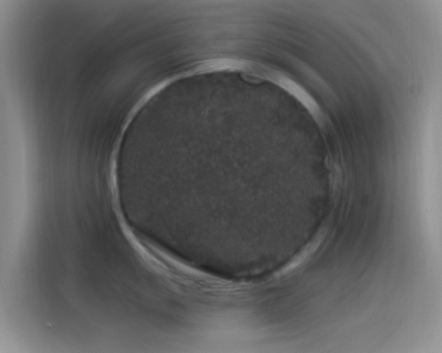 X0000114121055200910131359