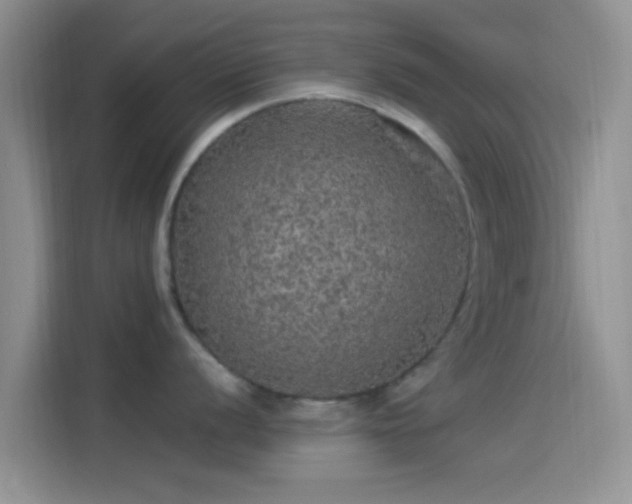 X0000114121056200910131359