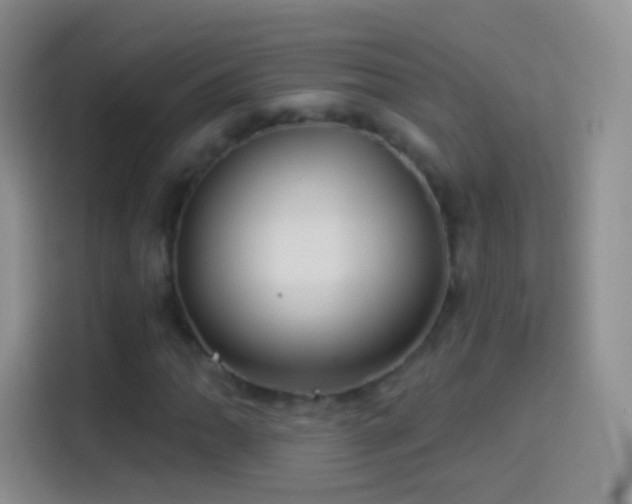 X0000114121062200910131359