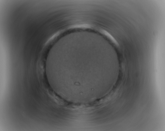 X0000114121064200910131358