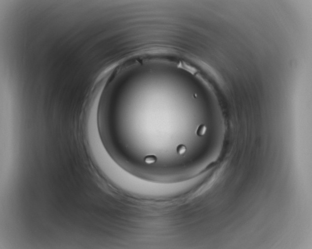 X0000114121065200910131358