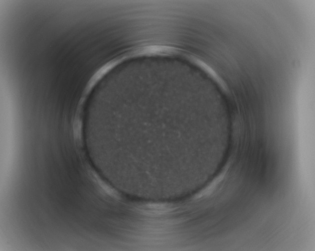 X0000114121066200910131358