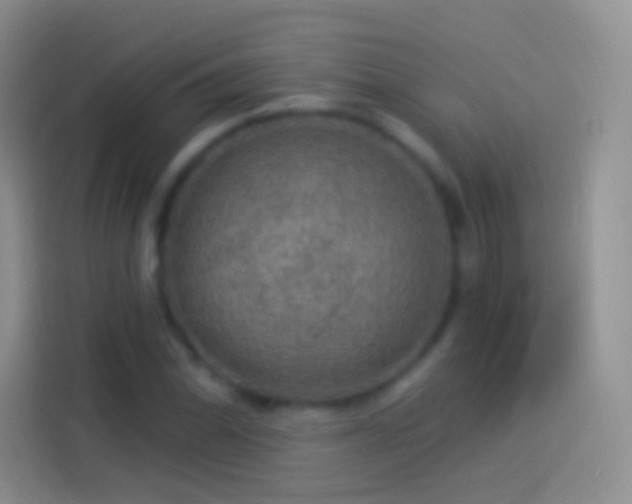 X0000114121070200910131358