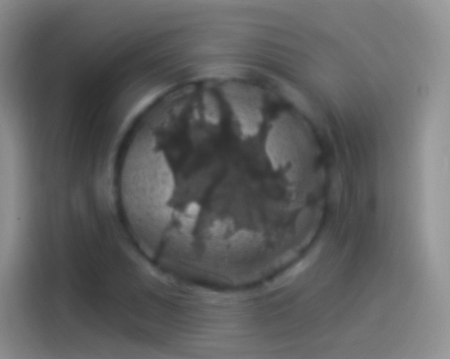 X0000114121071200910131358