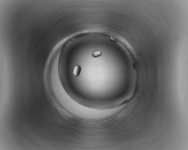 X0000114121072200910131358