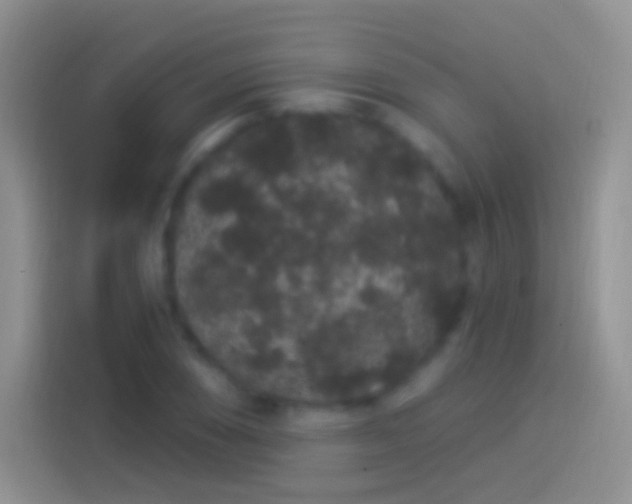 X0000114121074200910131358