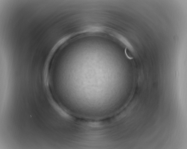 X0000114121080200910131358