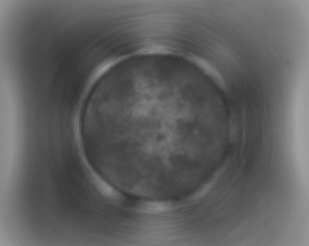 X0000114121086200910131358