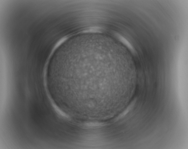 X0000114121087200910131358