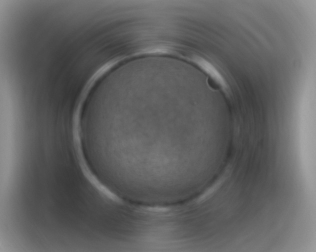 X0000114121088200910131358