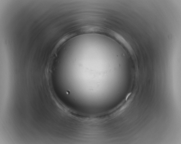 X0000114121089200910131358