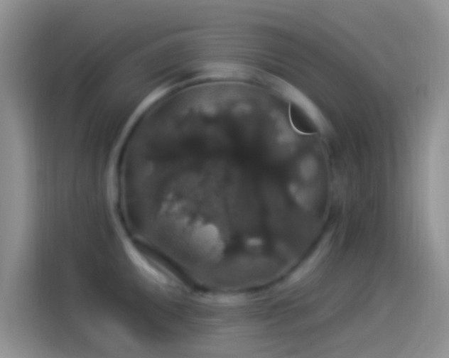 X0000114121095200910131358