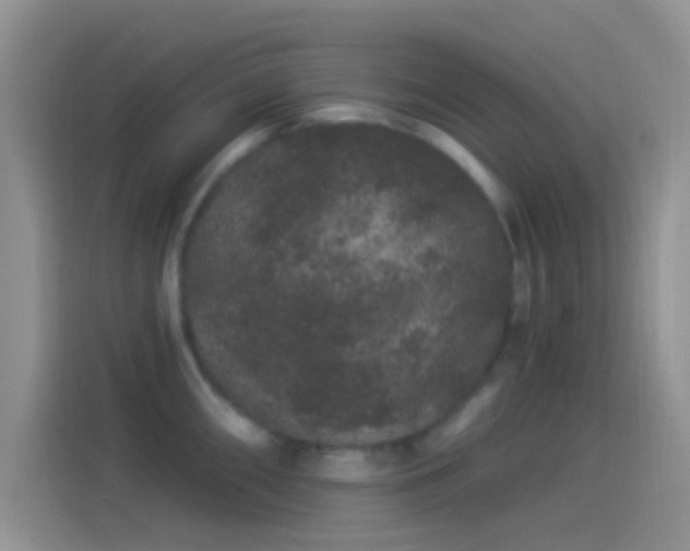 X0000114121098200910131358