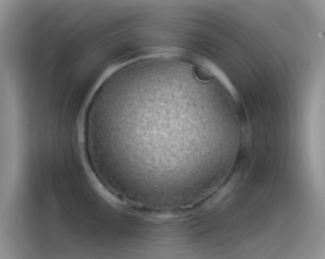 X0000114121099200910131358