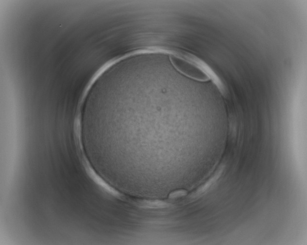 X0000114121100200910131358