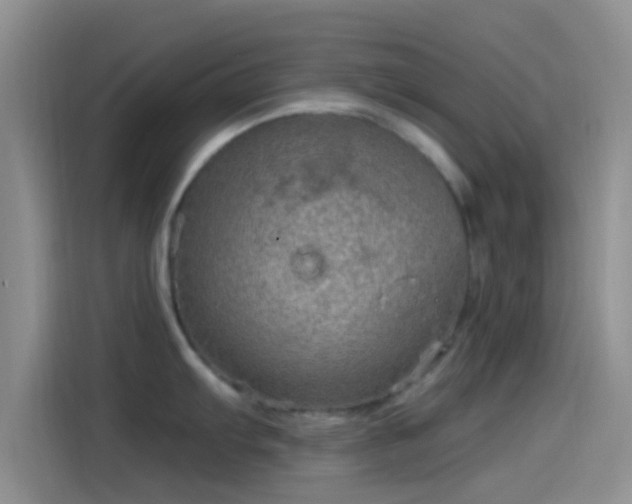 X0000114121103200910131358