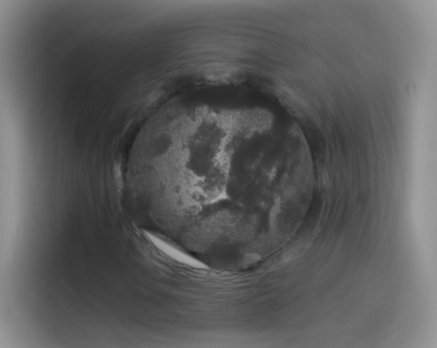 X0000114121106200910131357