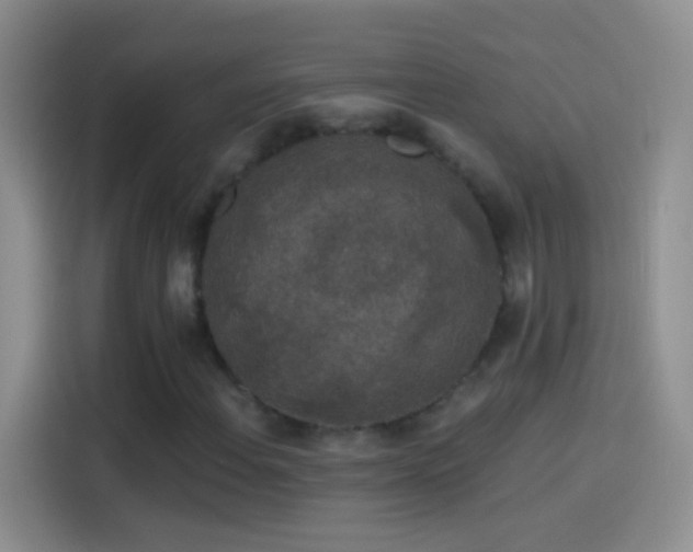 X0000114121108200910131357