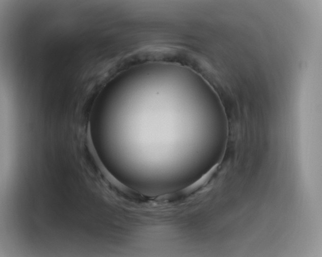 X0000114121109200910131357