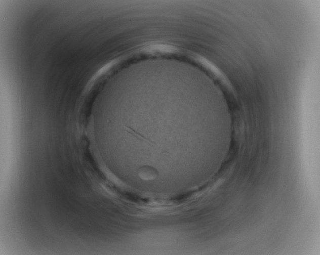 X0000114121112200910131357