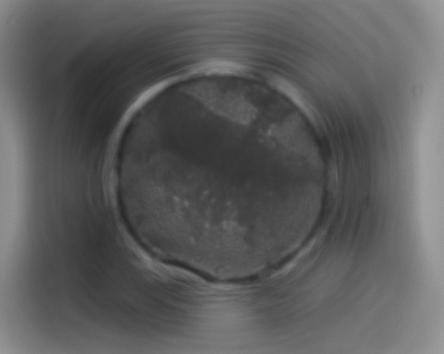 X0000114121115200910131357