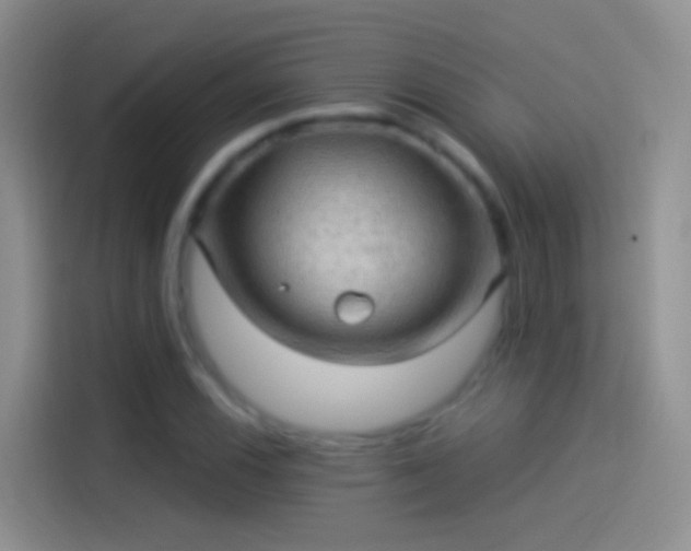 X0000114121116200910131357